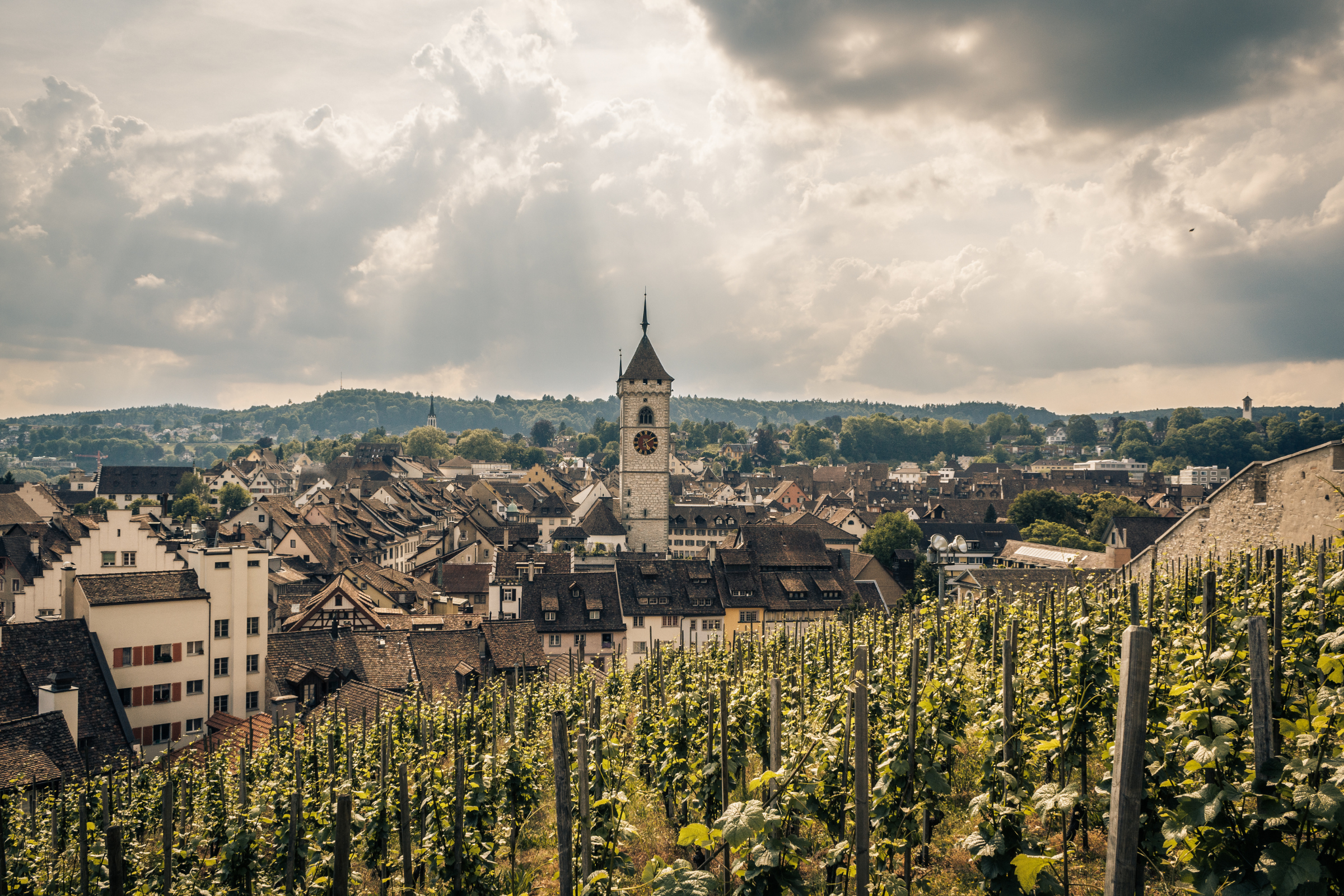 schaffhausen (4).webp